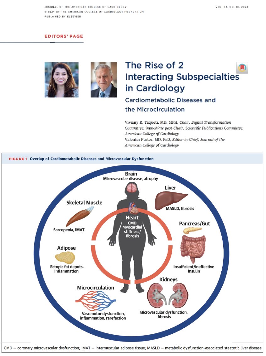 The rise of 2 interacting subspecialties: cardiometabolic diseases and the microcirculation “The microcirculation of the heart and other organs is a major contributor to individual cardiometabolic health outcomes” 👇@JACCJournals rb.gy/a90ajo