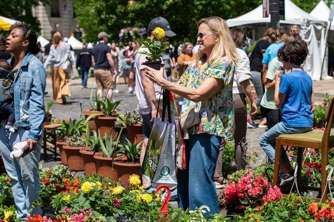 Flower Mart returns this week. Here are the road closures and parking restrictions. buff.ly/3UJLS0C The annual Flower Mart at Mount Vernon Place returns this week to welcome spring with music, food and, of course, lemon sticks.