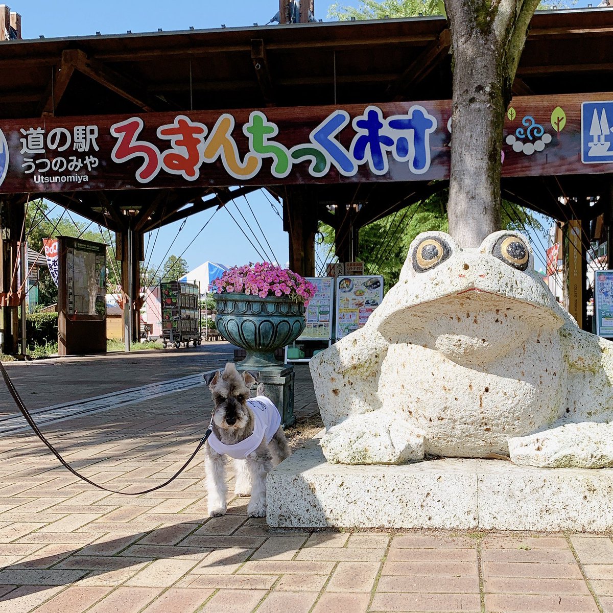 GW車中泊in宇都宮

おはようございます😃
GW後半はこちらから
良い天気でよかった〜🐶