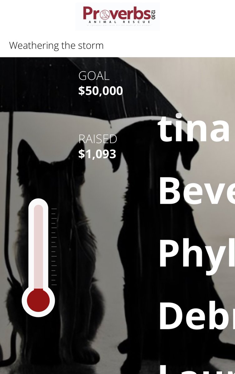 Thank you to all who have donated to the #BigImpact and are helping us #WeatherTheStorm! You may make a life saving donation here fundraise.givesmart.com/f/4pra/n?vid=1…