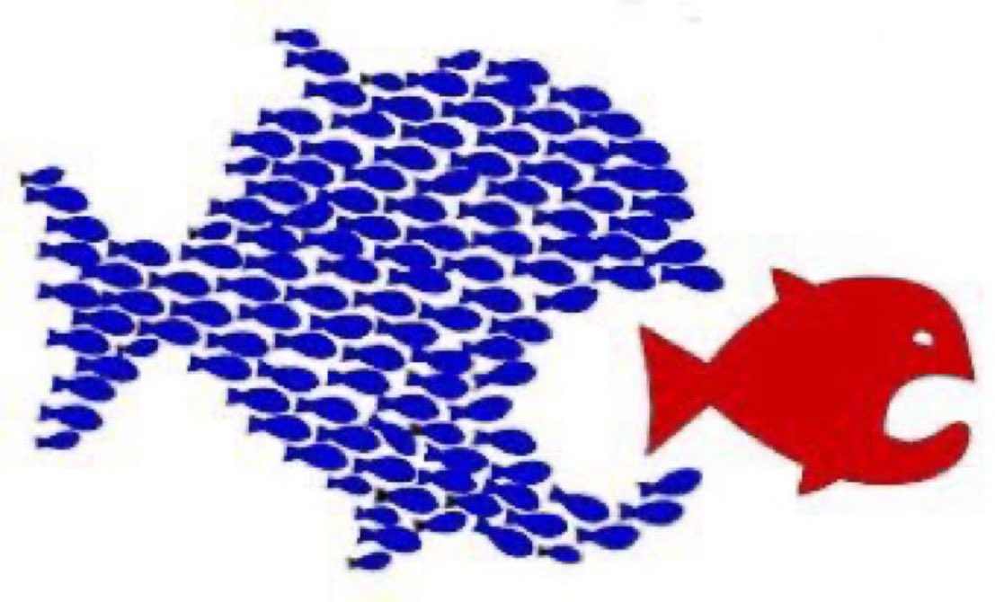 TPBlue4's tweet photo. @MetaResist @MetaResistance @ElevenFilms @PDXEleven @ttsavedemocracy @maura_resister @mari_moxy @lindaworkerbee @valhuntbeauty @beansbeth @Wisewonders @FromFloridatoVa @CanAmPolitics1 @dindin6 @ShelbyKStewart @shays_bullfrog @blueeyedblue_47 @TrinityPh0enix Meta, thank you for uniting us. ๐
Hope everyone is having a wonderful day.
#BlueBlueBlueBlue https://t.co/sJ3BajN2mV