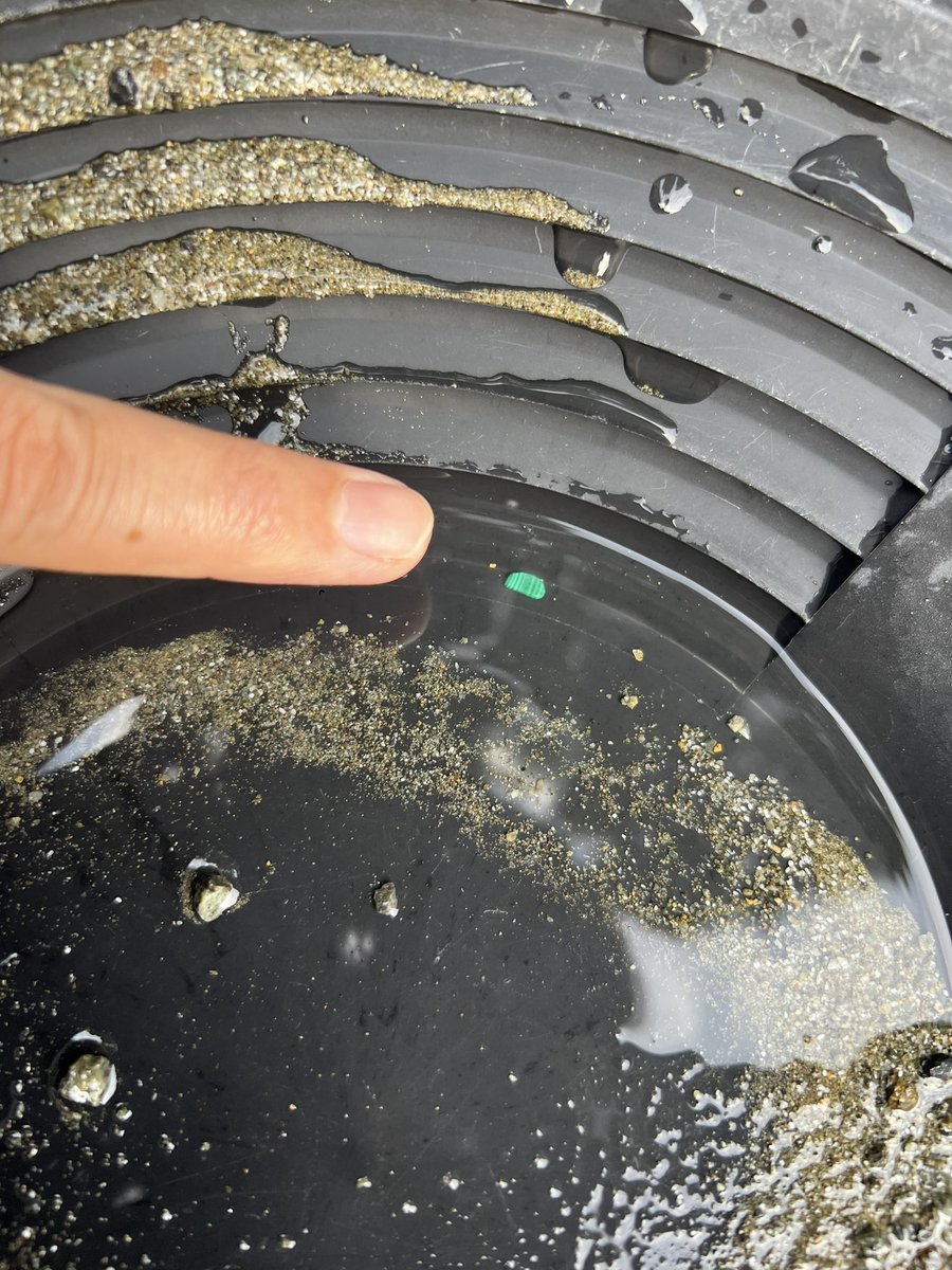 5/12地質の日イベント@水俣　出展紹介①
【熊本博物館】鉱物のパンニング体験
本物の砂金とり道具を使って重鉱物採集を疑似体験！
見つけた #砂金 、#ガーネット、#かんらん石、#孔雀石 は持ち帰りOKです!
#地質の日
#パンニング