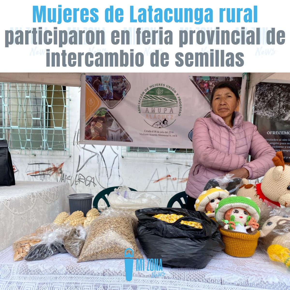 Más de 50 pequeñas productoras de diferentes sectores de la provincia de #Cotopaxi participaron este miércoles 1 de mayo en la Feria de Intercambio de Semillas que se efectuó en la plaza San Agustín de #Latacunga. 👇 #LatacungaRural

facebook.com/share/p/JvoZxm…