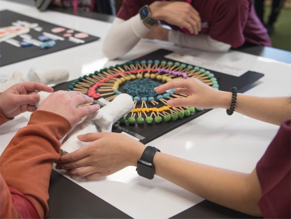 Playdough, bamboo skewers, slime balls and loose yarn: using #SensoryScience to communicate research on #RheumatoidArthritis and tolerogenic immunotherapy bit.ly/44lG7cA

@monashBDI <a href="/ASImmunology/">Australian and New Zealand Society for Immunology</a>