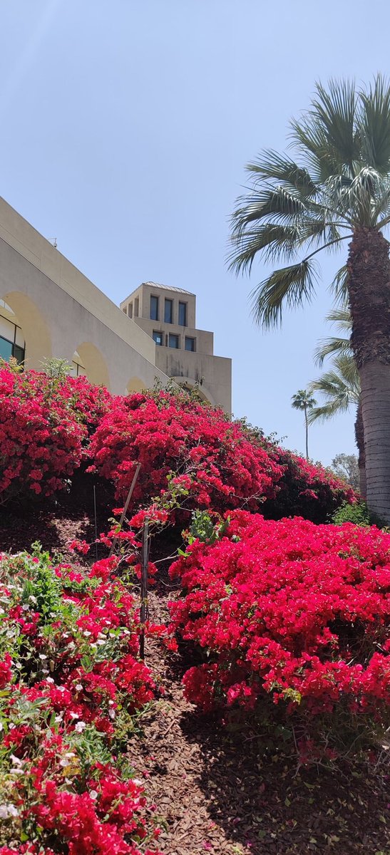 RunningCardinal's tweet image. Another great day at #ASIC2024!