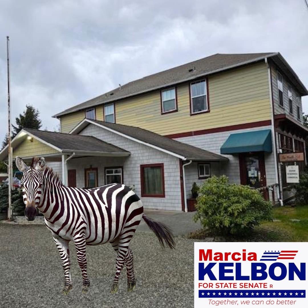 Look who I spotted while door belling! #OlyPen #waleg