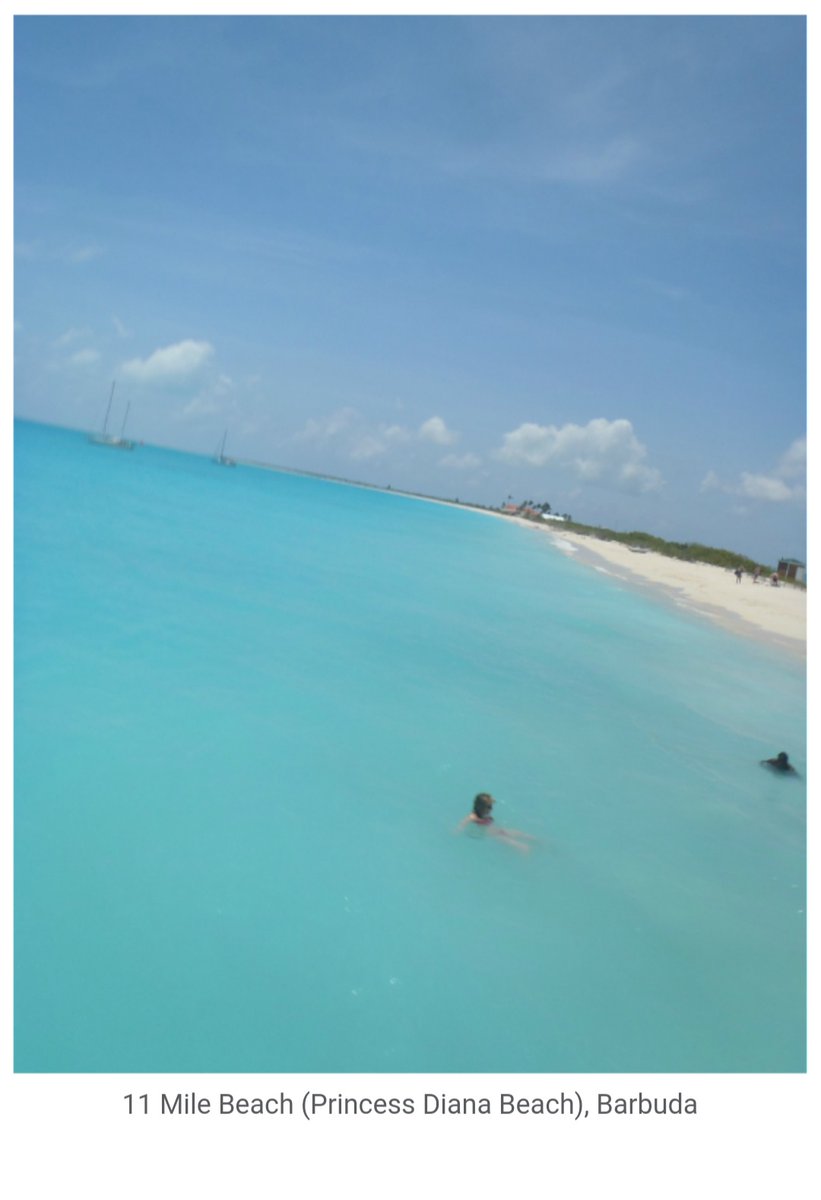 Barbuda, have you been? #travel #caribbean #barbuda