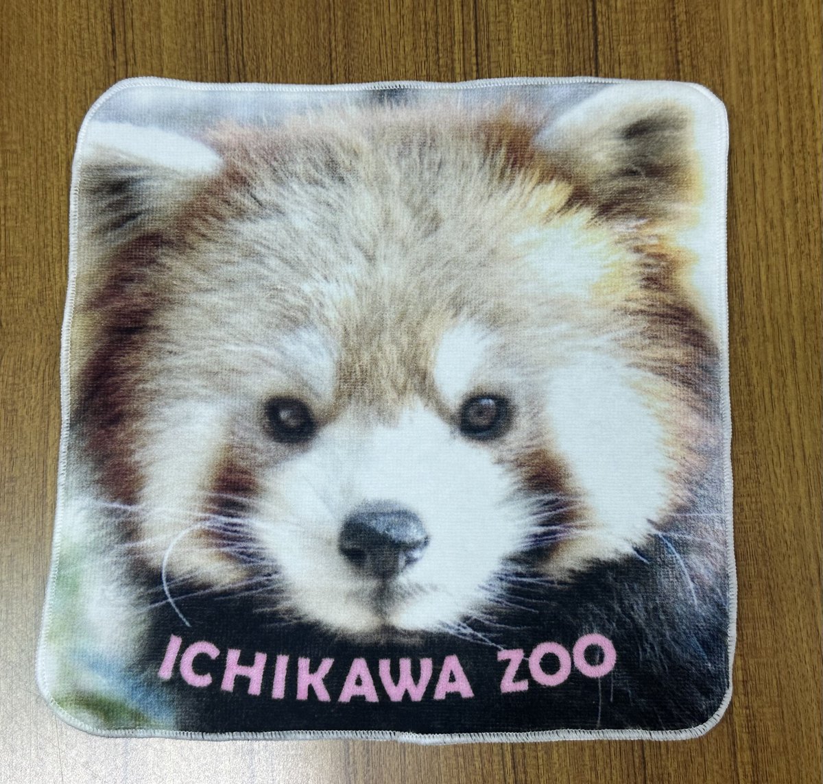 ichikawa_zoo tweet picture