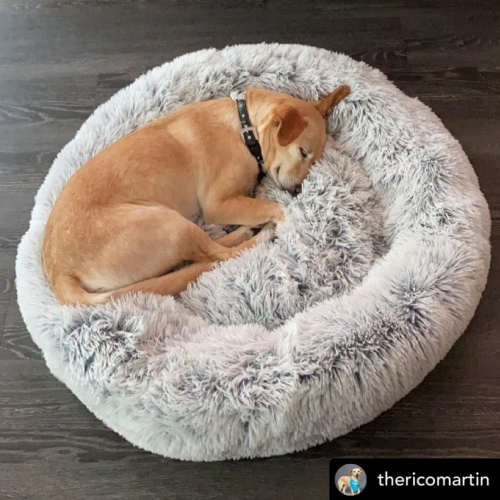 Every Best Friend needs to Cuddle and feel safe.

enchantedpawz.com/products/view/…

#dogbeds #dogbed #dogs #dog #doglovers #doglife #pets #petbeds #petbed #doglover #dogbedswithstyle #puppy #dogaccessories #petsupplies #dogtoys #pet #uniquedogbeds #puppylove #dogclothes #ilovemydog