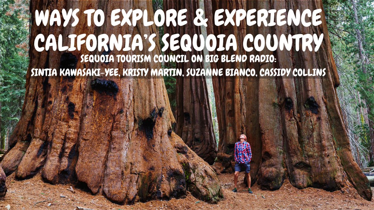 From hiking & cycling to kayaking & public art walks, today's #BigBlendRadio California Sequoia Country Podcast focuses on ways to explore Tulare County q/ @SequoiaTourism @SequoiaKingsNPS @VisitVisalia @TulareTweets Podcast: youtu.be/AsT0SmRg0yU?fe… #travel