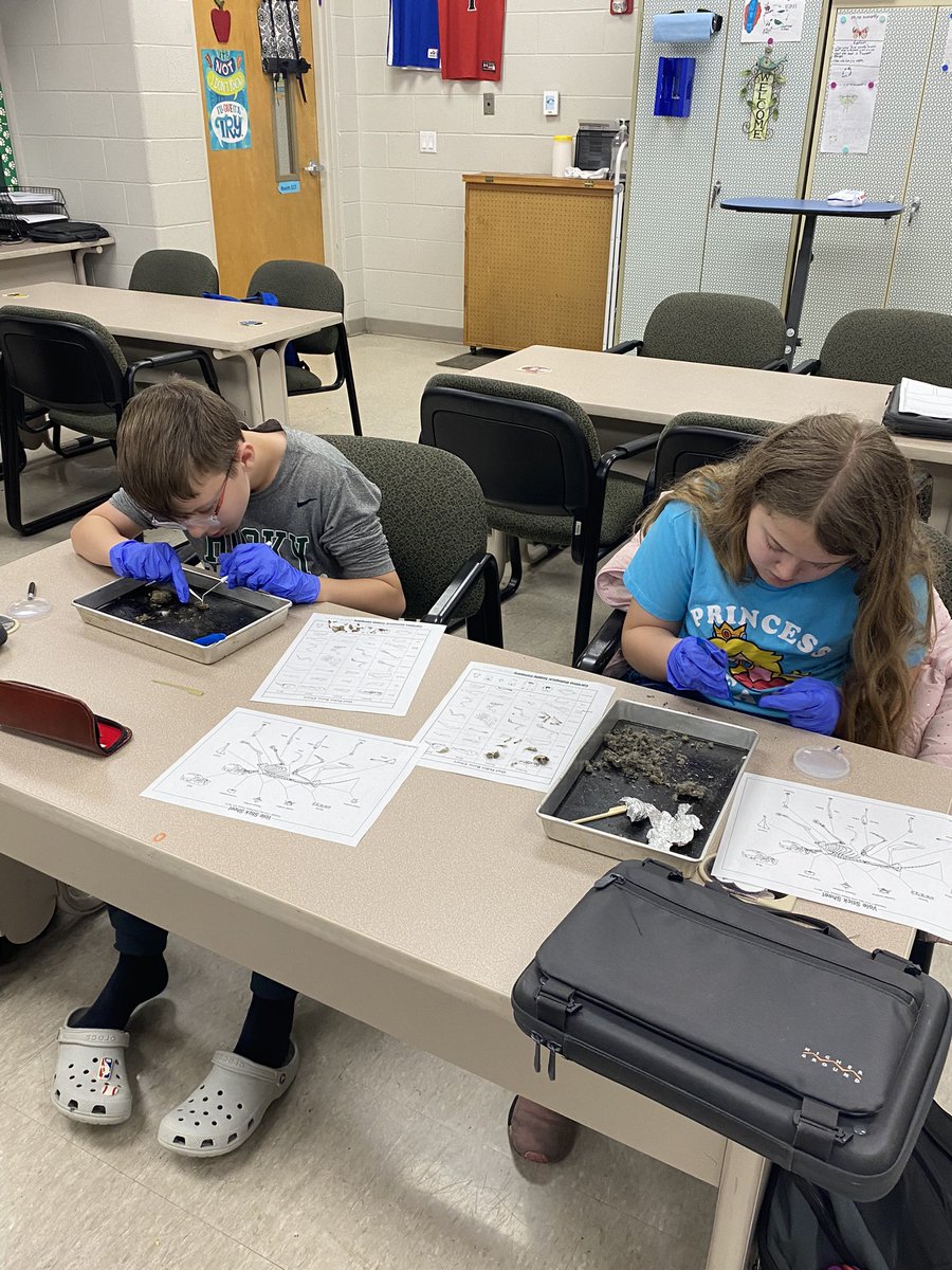 jandkpalmer3's tweet image. Mrs. Brown’s NGMS 6th grade classes enjoyed dissecting owl pellets today in science class. Brady found the whole skeleton! 🦉💚🦴
#makinglearningfun