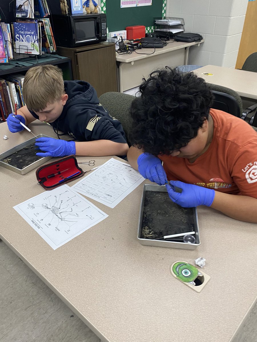 jandkpalmer3's tweet image. Mrs. Brown’s NGMS 6th grade classes enjoyed dissecting owl pellets today in science class. Brady found the whole skeleton! 🦉💚🦴
#makinglearningfun