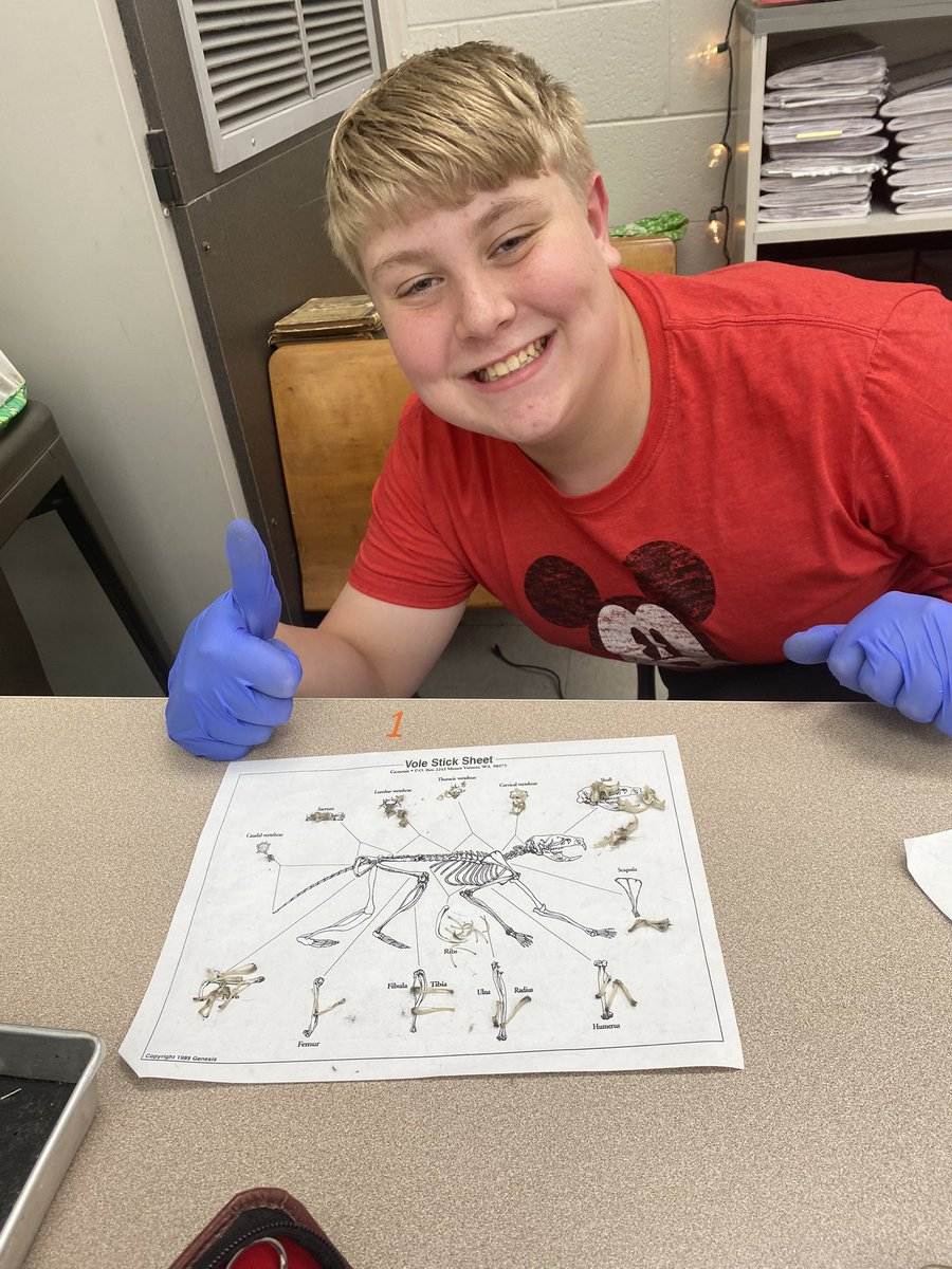 jandkpalmer3's tweet image. Mrs. Brown’s NGMS 6th grade classes enjoyed dissecting owl pellets today in science class. Brady found the whole skeleton! 🦉💚🦴
#makinglearningfun