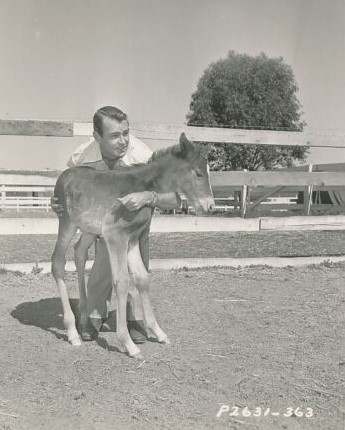 #AlanLadd on his ranch 1940s