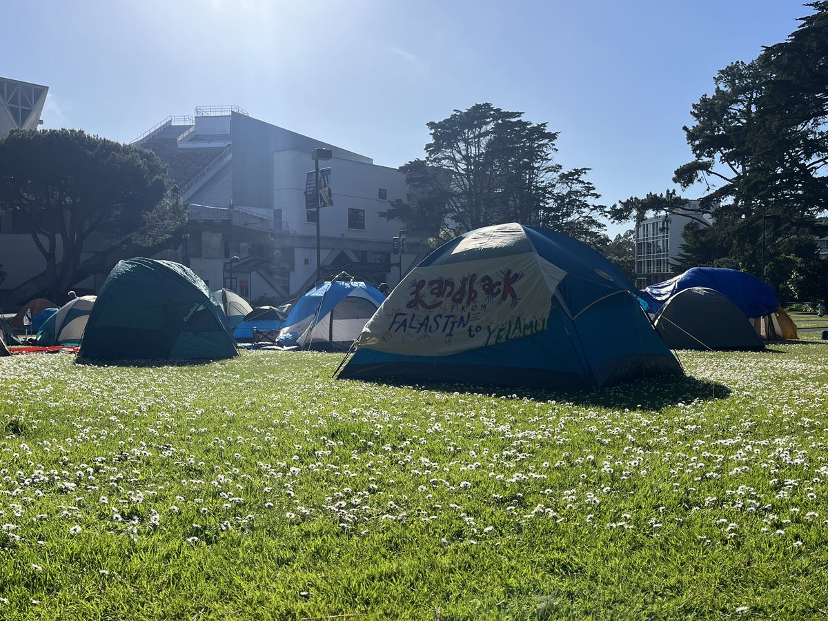 reporting live from SFSU’s Palestine protest encampment.
