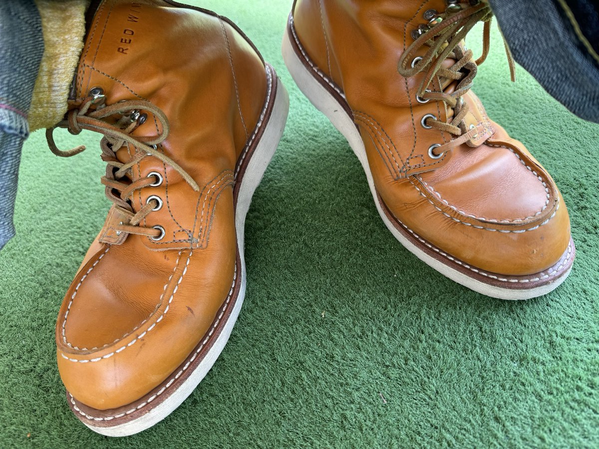 GW（ゴールドラセットセコイアウィーク）
#REDWING 9875