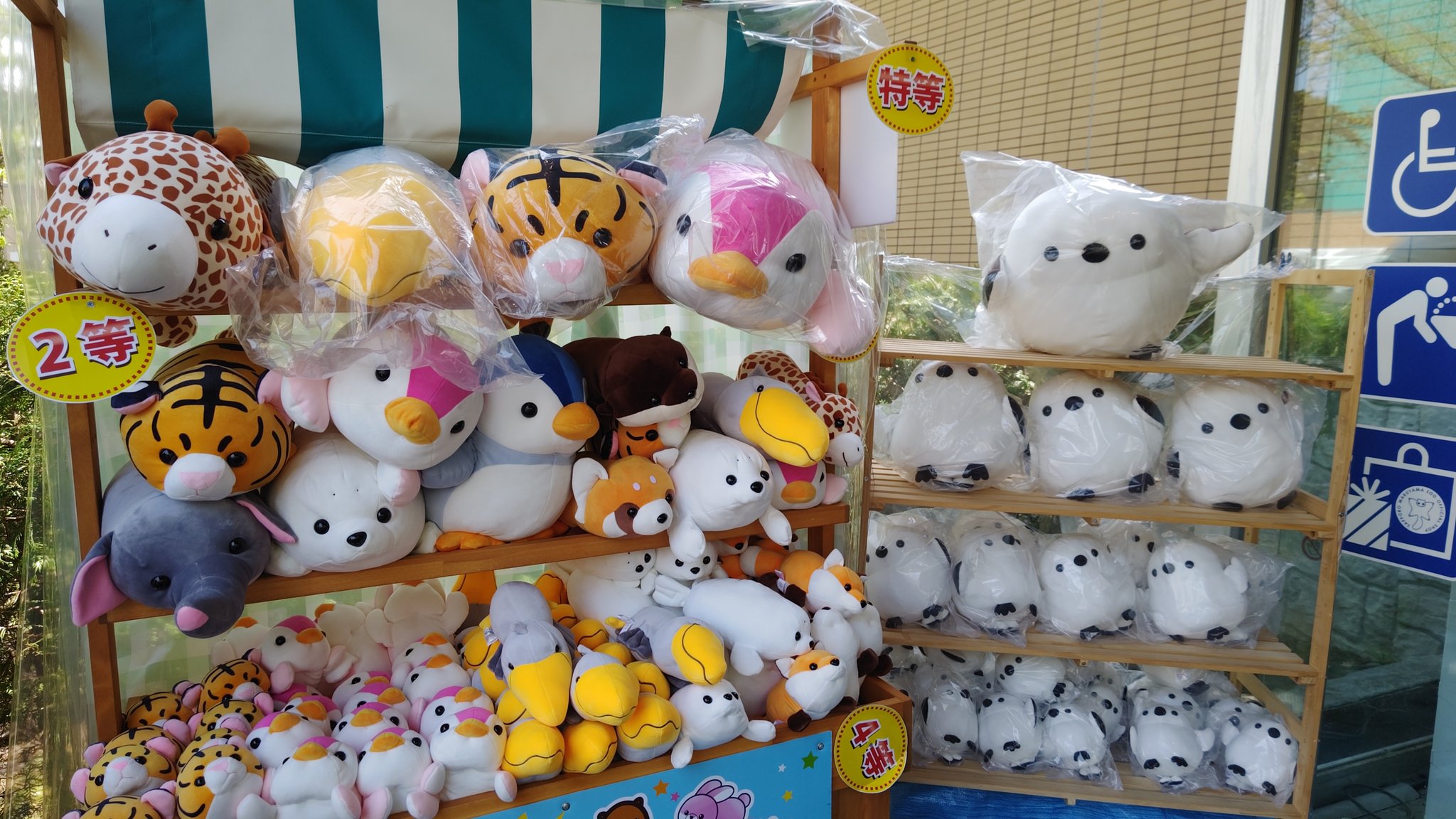 2025新作モデル 円山動物園オフィシャルショップ on  X: ピンズ・ピンバッジ・缶バッジ