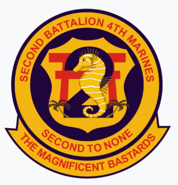 “The Magnificent Bastards” Has to be the best nickname ever. 2nd Battalion, 4th Marines.