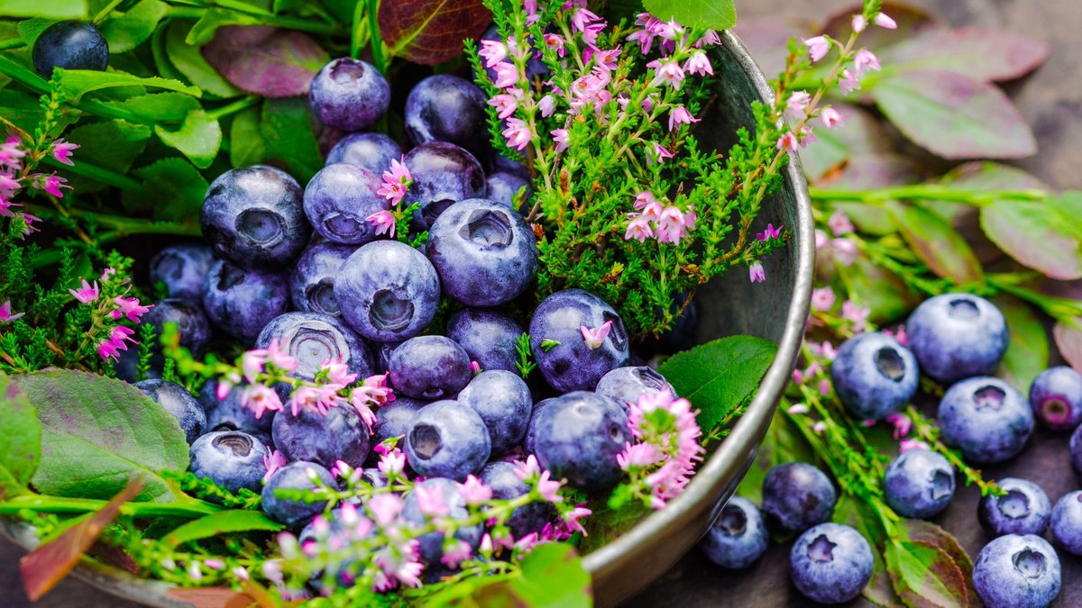 Do flavonoids enhance cognitive function? 🧠🍇🍊 news-medical.net/news/20240502/… #Flavonoids #CognitiveHealth #NutritionScience #BrainHealth #HealthyAging #Neuroprotection #DietaryIntake #MentalHealth #HealthyLifestyle #Nutrients @Nutrients_MDPI