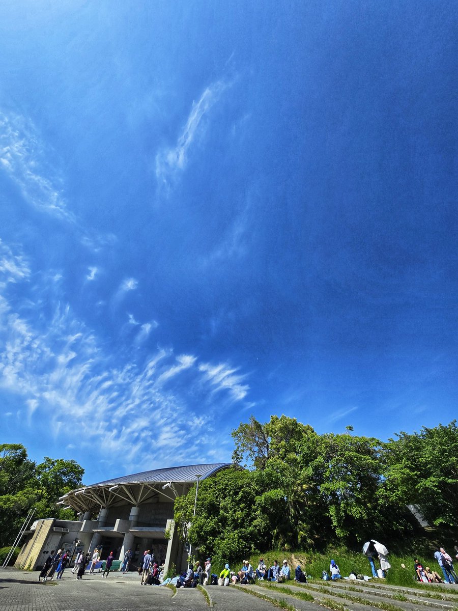 服部緑地公園 野外音楽堂到着
車椅子のルートがわからず
結局､歩いて階段を…😭
大阪府
車椅子が通れるルートの案内看板出して
初めてじゃさっぱりわからん
٩(๑`^´๑)۶ﾌﾟﾝｽｶ
#春一番 #春一番2024