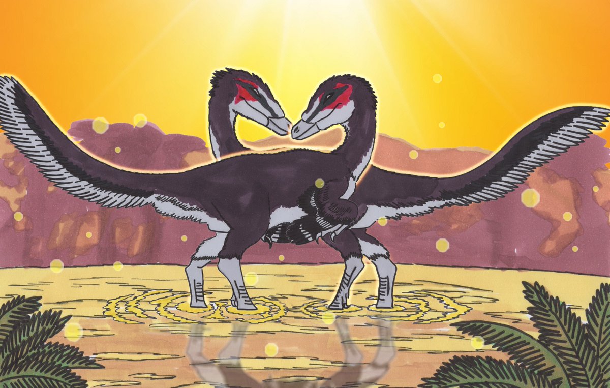 #MaystrichtianMadness 02: Austroraptor

As the sun sets over what's now Argentina, a mating pair of male Austroraptors cement their bond while wading along the banks of a shallow stream. 

#PrehistoricPlanet
