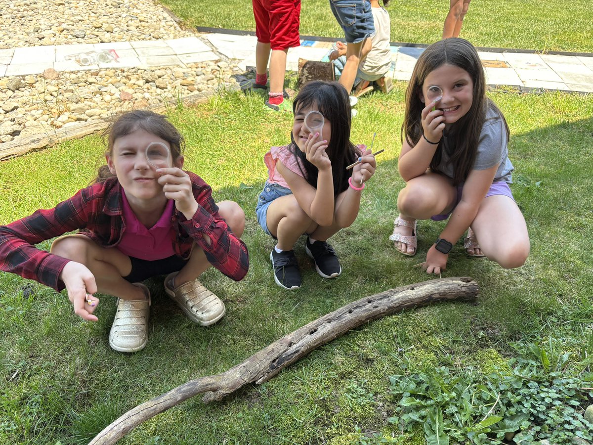 Lisa Stiver tweet media