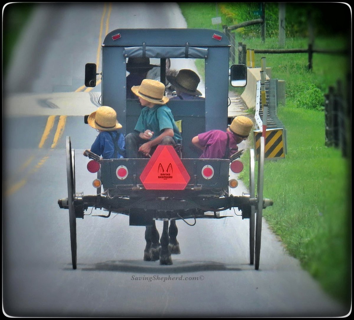 Today’s Truth

“It is better 2 look ahead & #prepare than 2 look back & #regret.”

#Amish #proverb

#success #future #quoteoftheday #photooftheday #inspiration #positive #attitude #motivation #quotes #savingshepherd #photography #country #picoftheday #countryliving #photo #pic