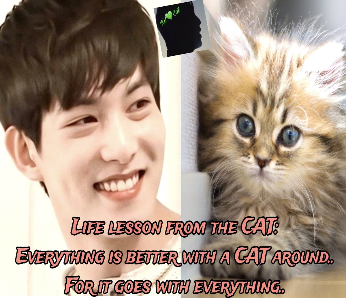 @cnbluegt 1223) Life lesson..
💚💚💚 
💚@cnbluegt💚
#cnbluegt
#LeeJongHyun 
#comebacktousljh
#OneLeeJongHyun
#NobodyButYouLJH
#protectleejonghyun
#StandbyLeeJongHyun
#이종현 
#イ·ジョンヒョン
#無言で大好きなJHの写真をあげてみた