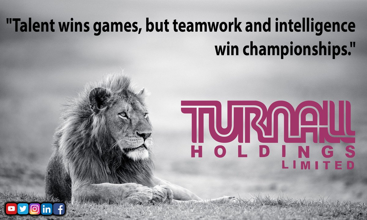 Turnall Holdings Limited tweet media