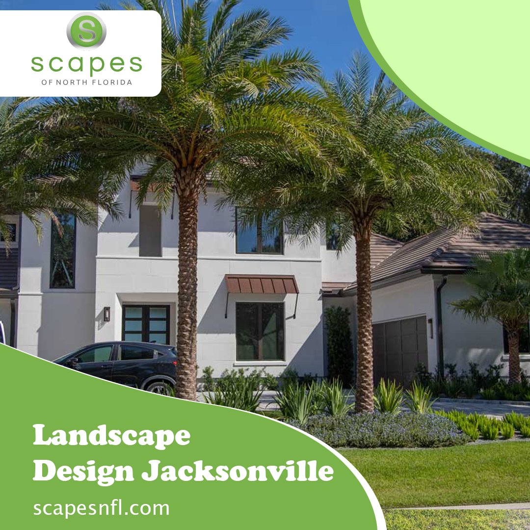 Dreaming of a picturesque landscape design in Jacksonville, FL? Our team specializes in creating captivating outdoor environments that reflect your unique taste.

bit.ly/3nkDbeE

#LandscapeDesign #Jacksonville #OutdoorDesign #GardenDesign #FloridaLandscaping