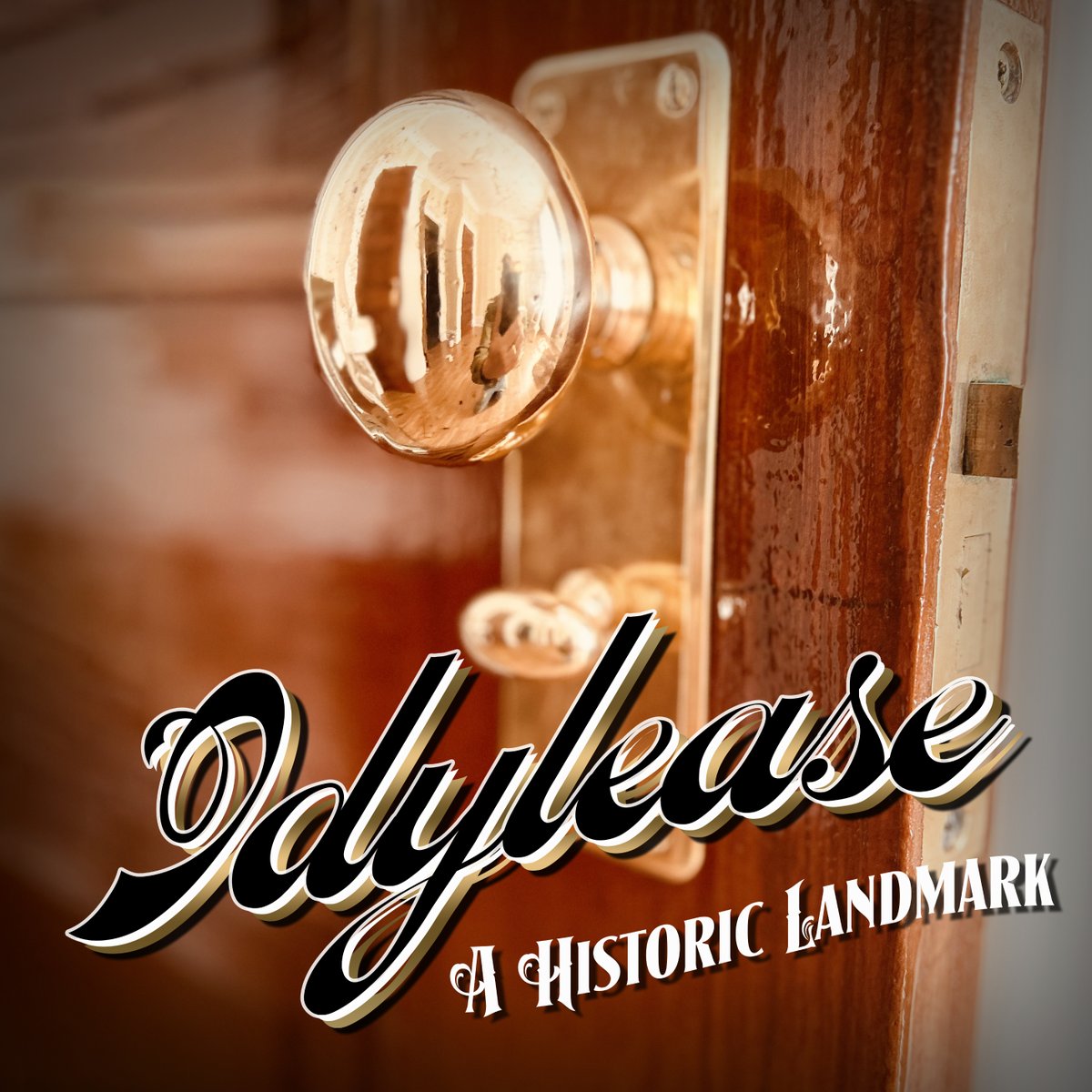 Installation of 121-year-old refinished doors and original door hardware to enhance the hotels aesthetic sensibility and maintain its historical integrity. Custom wall coverings and new flooring. Patience, commitment and attention to detail. #idylease #historicpreservation