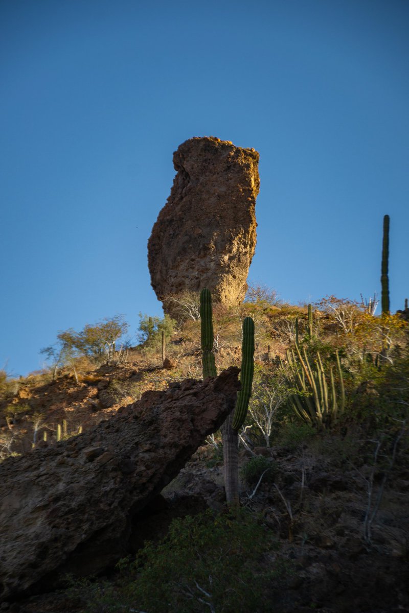 🪨🏜️ Un monolito sudcaliforniano en la sierra del Mechudo...
 #bcsmitierra🌵 #BajaCaliforniaSur