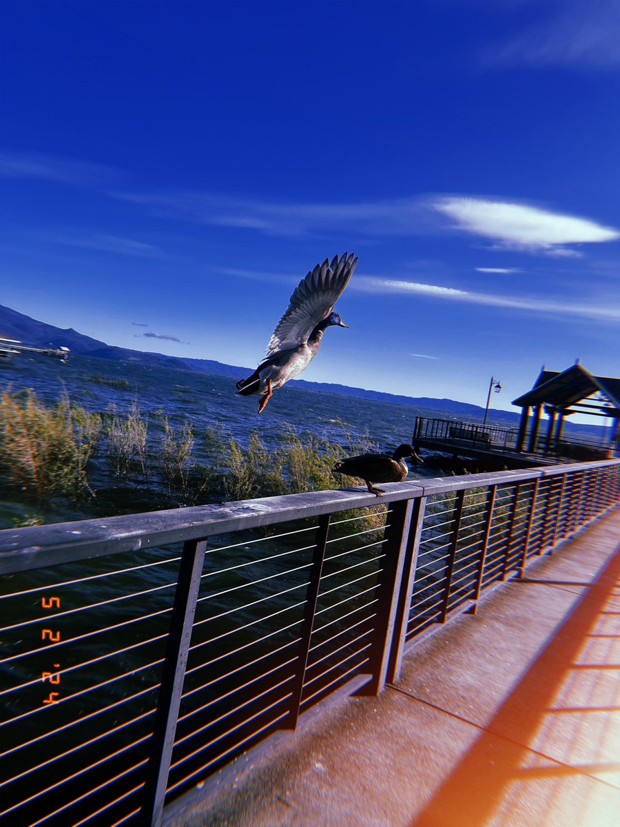 “The Switzerland of America”

wetfm