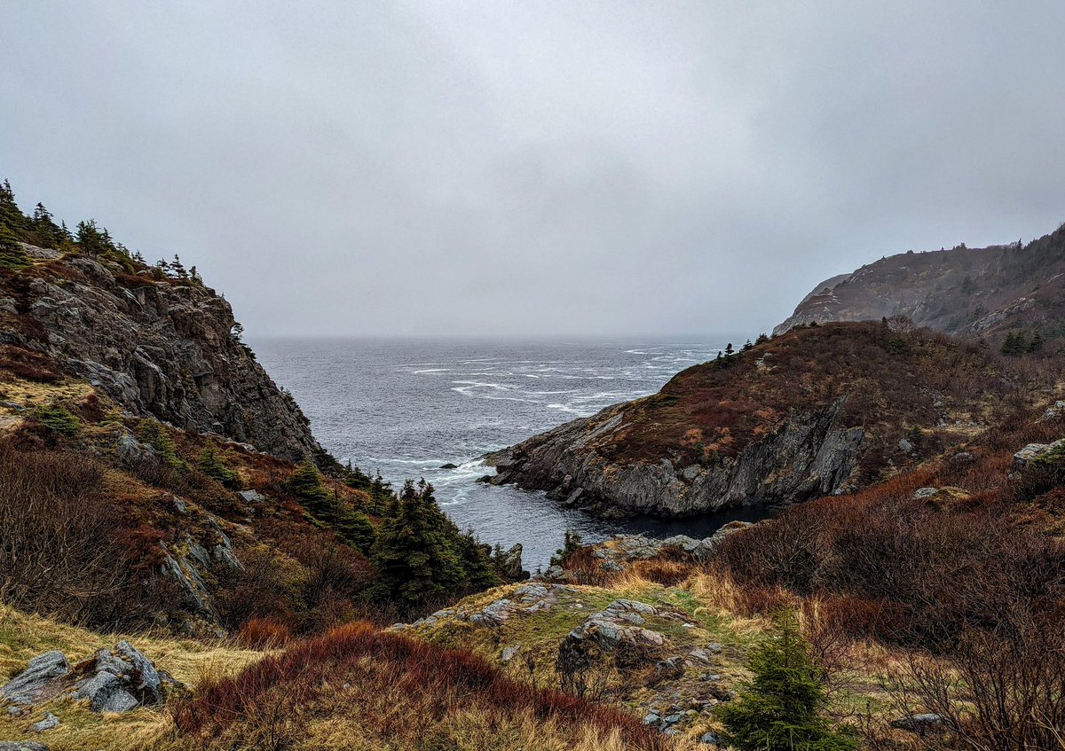 Another grey foggy day in St. John's.

This is a Cove in Quidi Vidi. Even with the damp weather, it sure is pretty ❤️

#nlwx #ShareYourWeather #newfoundlandandlabrador