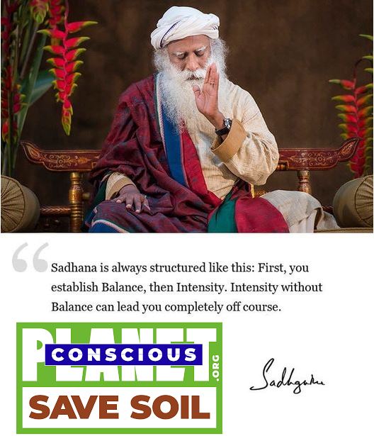 Seeking #solution not solace! In waking up with excitement to see the sun rise or #light, is seeking solution. In wanting to go to sleep well at night, is seeking solace. May we seek how to enhance life on this planet. #SaveSoil. #ConsciousPlanet Let's Make It Happen. @SadhguruJV