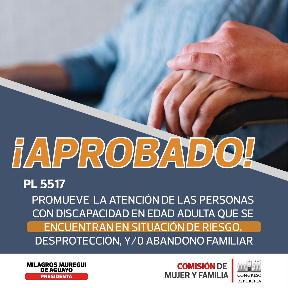 📢 El proyecto de ley 5517, que promueve y fortalece la atención de las personas con discapacidad en edad adulta que se encuentran en situación de riesgo, desprotección y/o abandono familiar, fue aprobado por unanimidad en el pleno. #PersonasConDiscapacidad #AtenciónIntegral