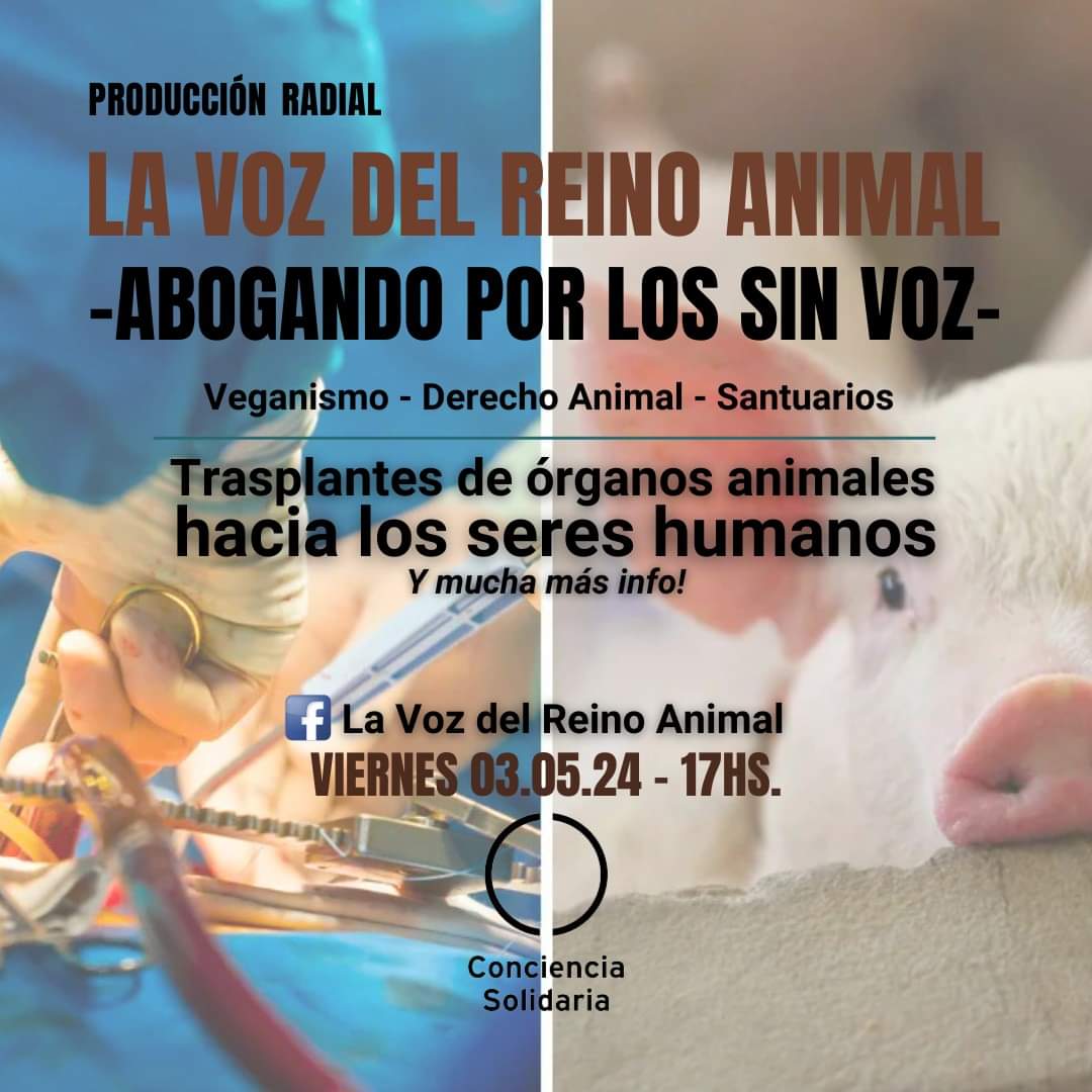 🖥#LaVozDelReinoAnimal Viernes 03.05 - 17hs Transmisión: Facebook.com/VozReinoAnimal #Veganismo #DerechoAnimal #RescateDeAnimales #SantuariosProtectoresDeAnimales 'La voz de los que no pueden hablar. La voz de los que no pueden expresarse en palabras' #ConcienciaSolidariaONG