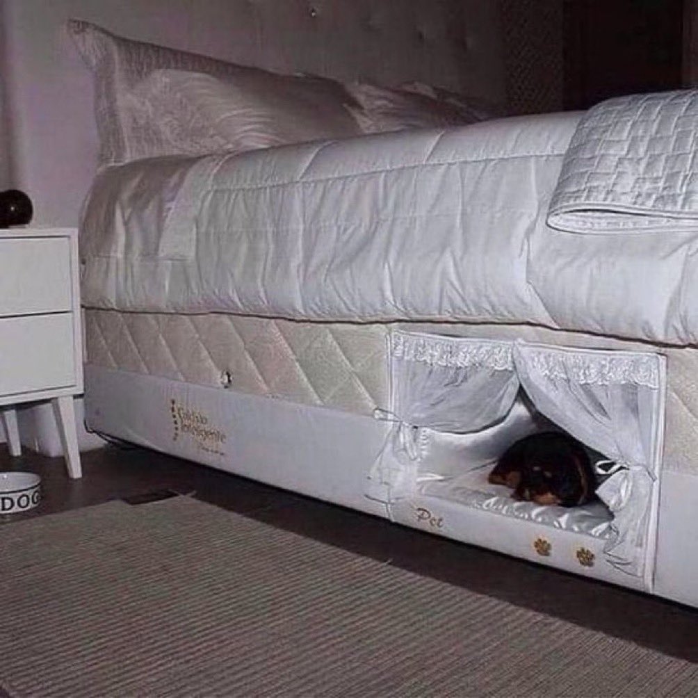 builds this in my room so dewdrop has a place to sleep