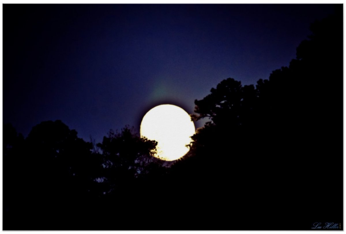 ⛅🌱🌄🌿❄🗻🌙🌏
Cradled #moon over #HotSprings #mountain #Arkansas  #poster  
zazzle.com/moon_rise_hot_…

#Posters #art #PhotographyIsArt #photography #shoppingonline #giftideas #gifts #onlineshopping #wallartforsale #wallart  #homedecor #shopsmall #homedecoration #smallbiz