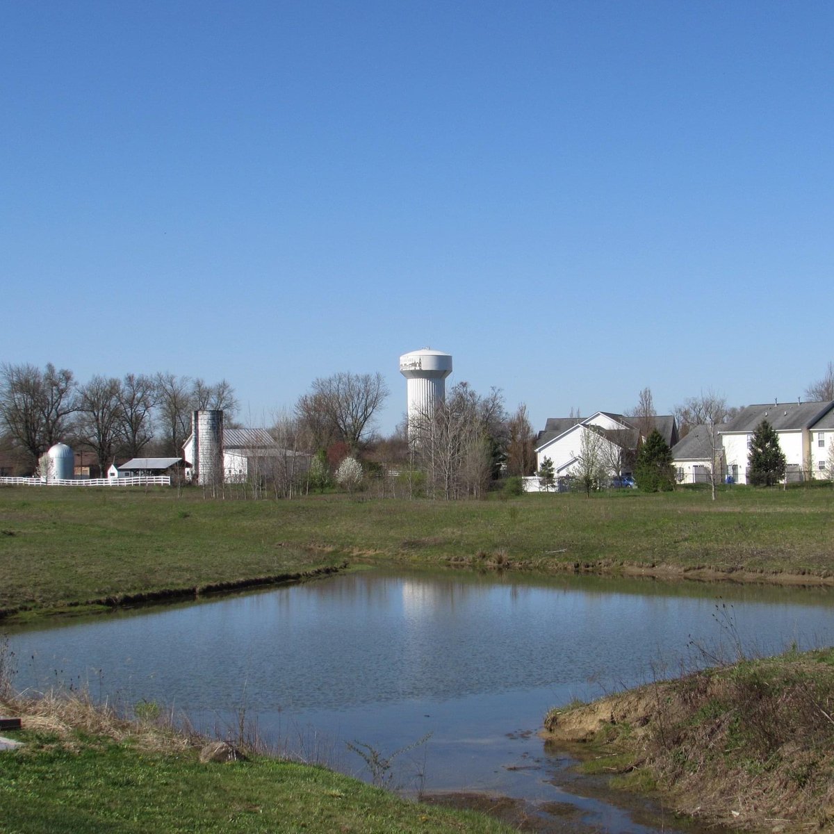 On a #clear #day… #ohio #outdoors #nature #blueskies #cloudless #watertower #pond #acrossthepond #pondside #pondlife #midwest #perfectday #greenery #greengrass #spring #springtime #beauty #sunshine #trees #naturephotography #outmybackdoorbydenise