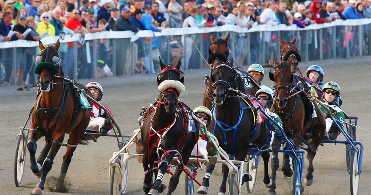 Live #HarnessRacing starts back up at @Red_Shores this Saturday, 5/4! First post is 5:00 pm EDT. buff.ly/4a9nYQh

📷: @Red_Shores