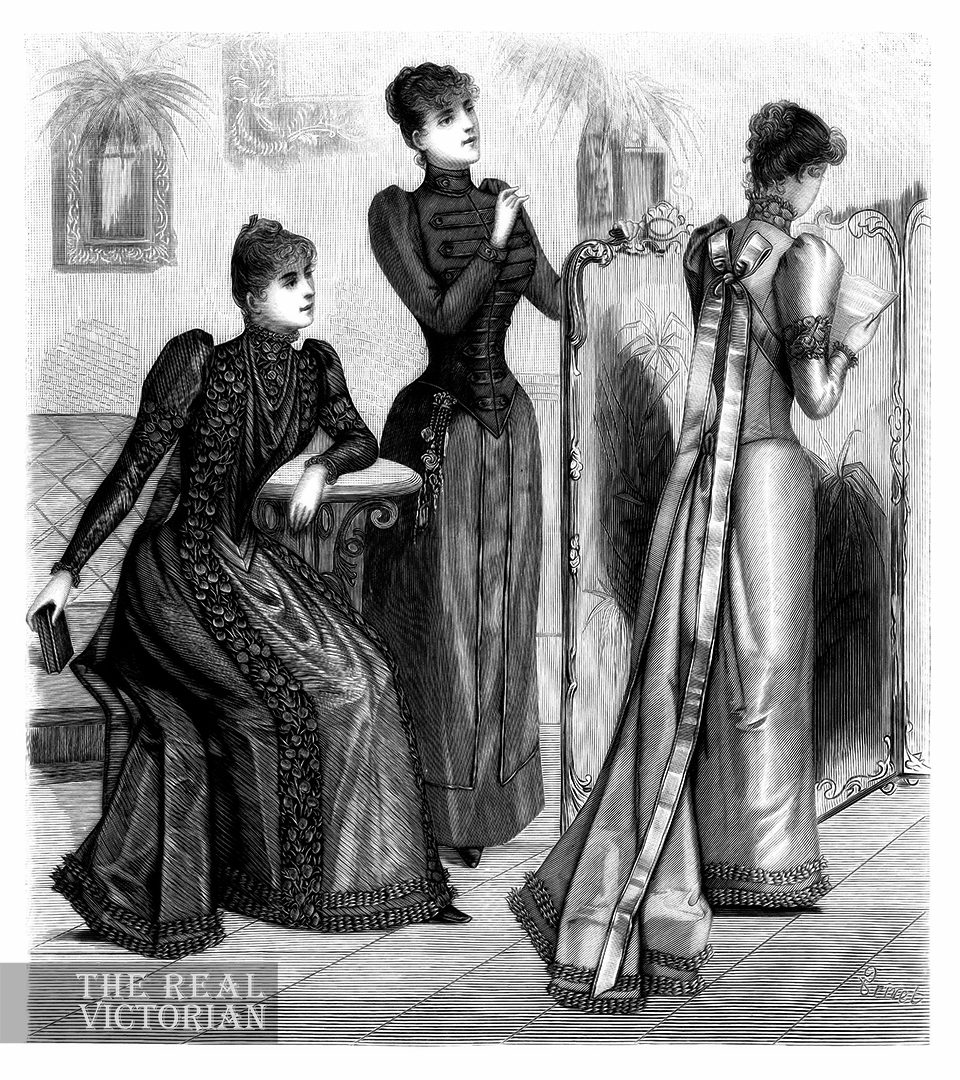 The big speech. Paris, 1892. 
| #19thcentury #belleepoque #gildedage #fashionhistory #fashionillustration #victorian #vintagefashion #vintageillustration