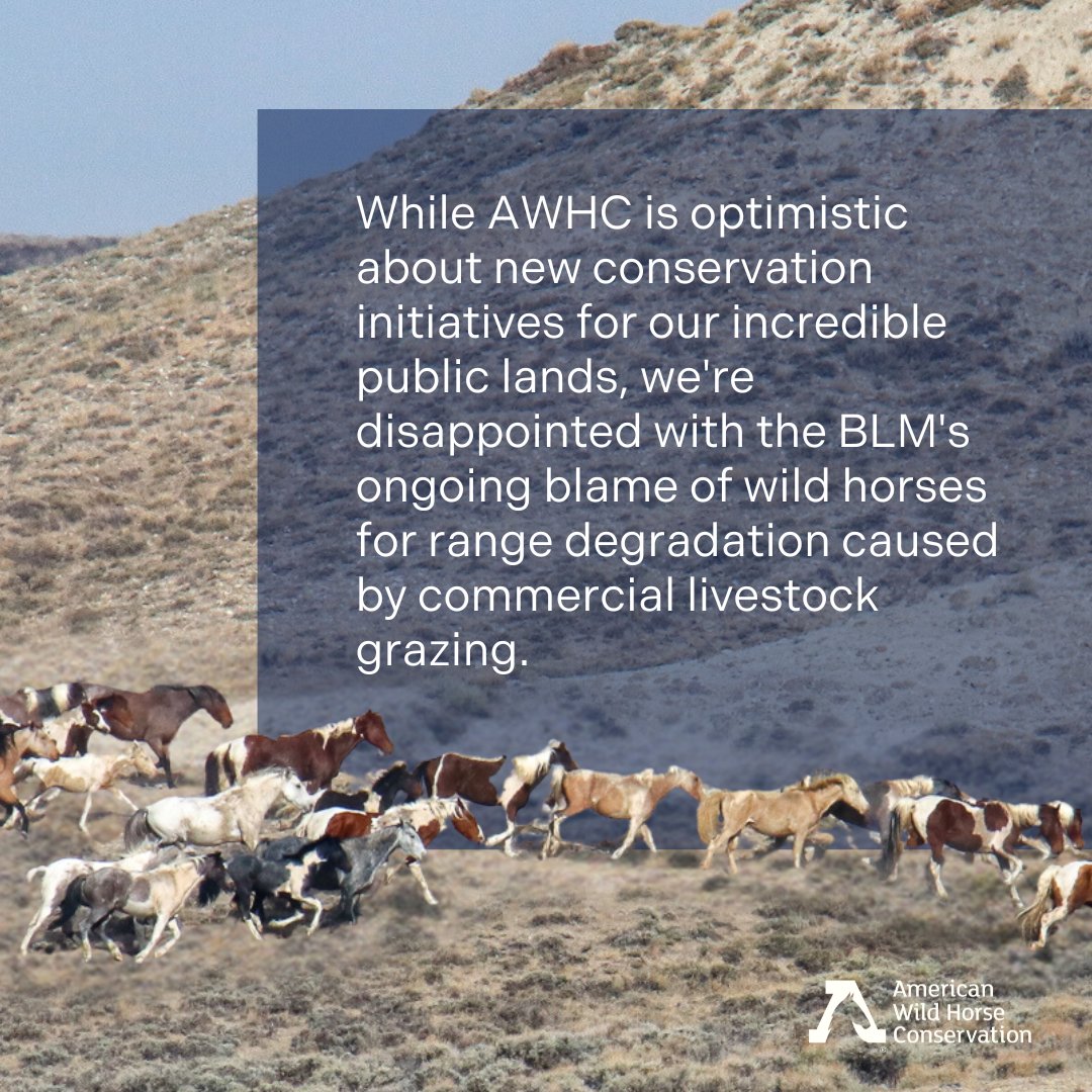 The BLM just rolled out a new rule focusing on conservation efforts across our public lands, It's time for the BLM to recognize the importance of wild horse and burro roles in habitat restoration and prioritize their conservation.