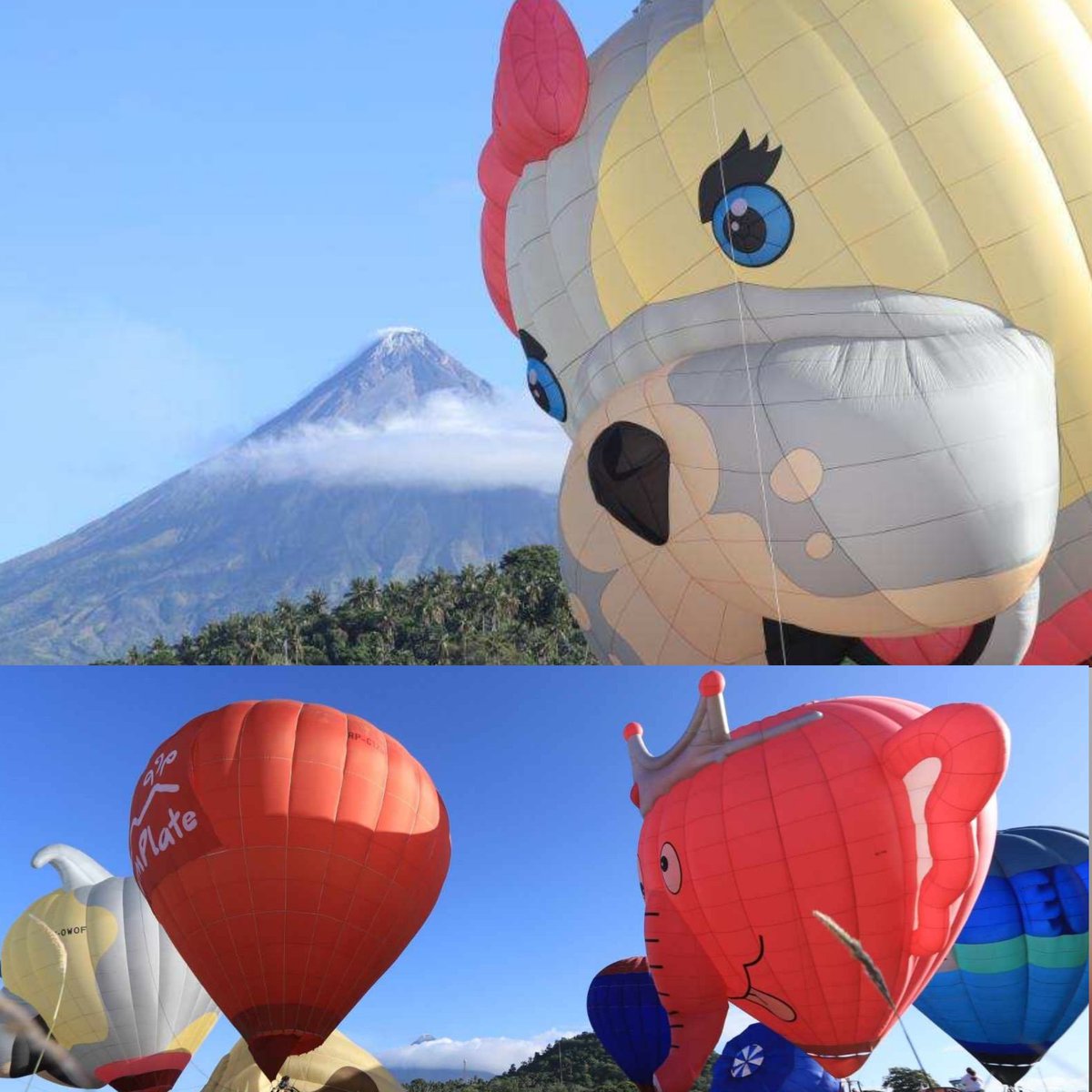 LOOK! The hot air balloons are starting to rise with a magnificent view of Mayon Volcano at the Bicol Loco Festival.