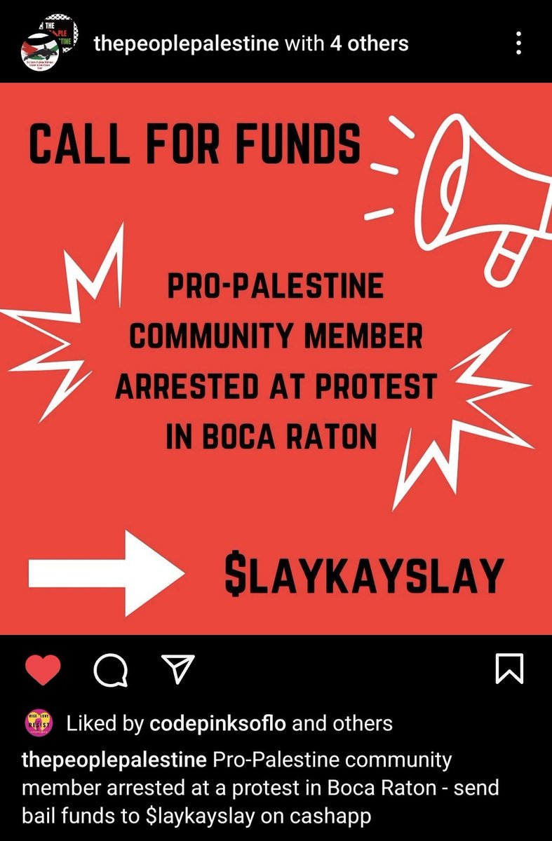 This is a brave local group trying to get Israel's largest weapons manufacturer to stop making weapons of genocide in our backyards, arrested & punished for using a megaphone! please donate to them if you can! Organizing in Florida is hard but more necessary than ever
