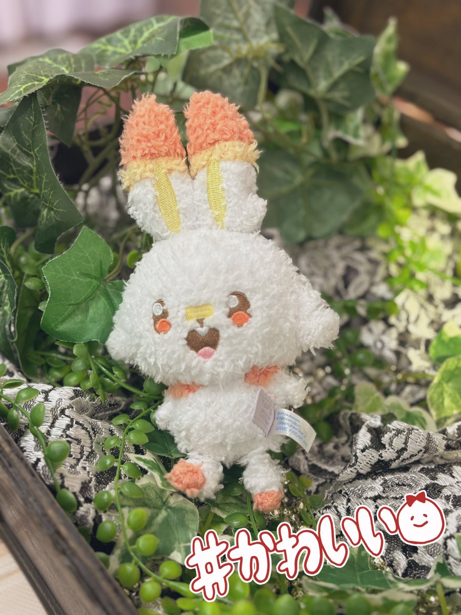 ポケピースのヒバニー可愛すぎ！！
写真はマイヒバニー❤️❤️❤️

エースバーンもカッコいい&可愛い！