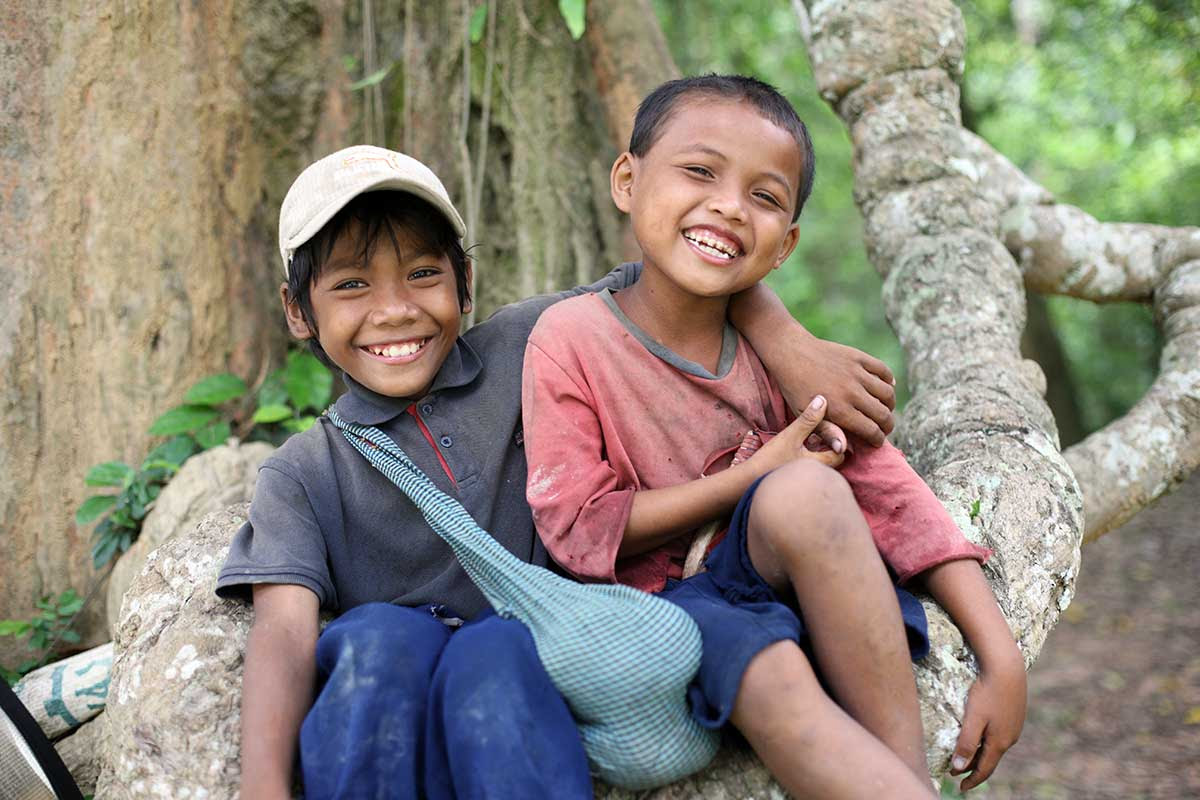 SEVA FOUNDATION (@seva_foundation) on Twitter photo The seed you plant today will prevent entire generations from living with avoidable blindness. 
We’ve partnered with <a href="/FreeWill_HQ/">FreeWill</a> and their online will-writing tool so all friends of Seva can build a future with strong, stable roots. frwill.link/sevafoundation5 The seed you plant today will prevent entire generations from living with avoidable blindness. 
We’ve partnered with <a href="/FreeWill_HQ/">FreeWill</a> and their online will-writing tool so all friends of Seva can build a future with strong, stable roots. frwill.link/sevafoundation5
