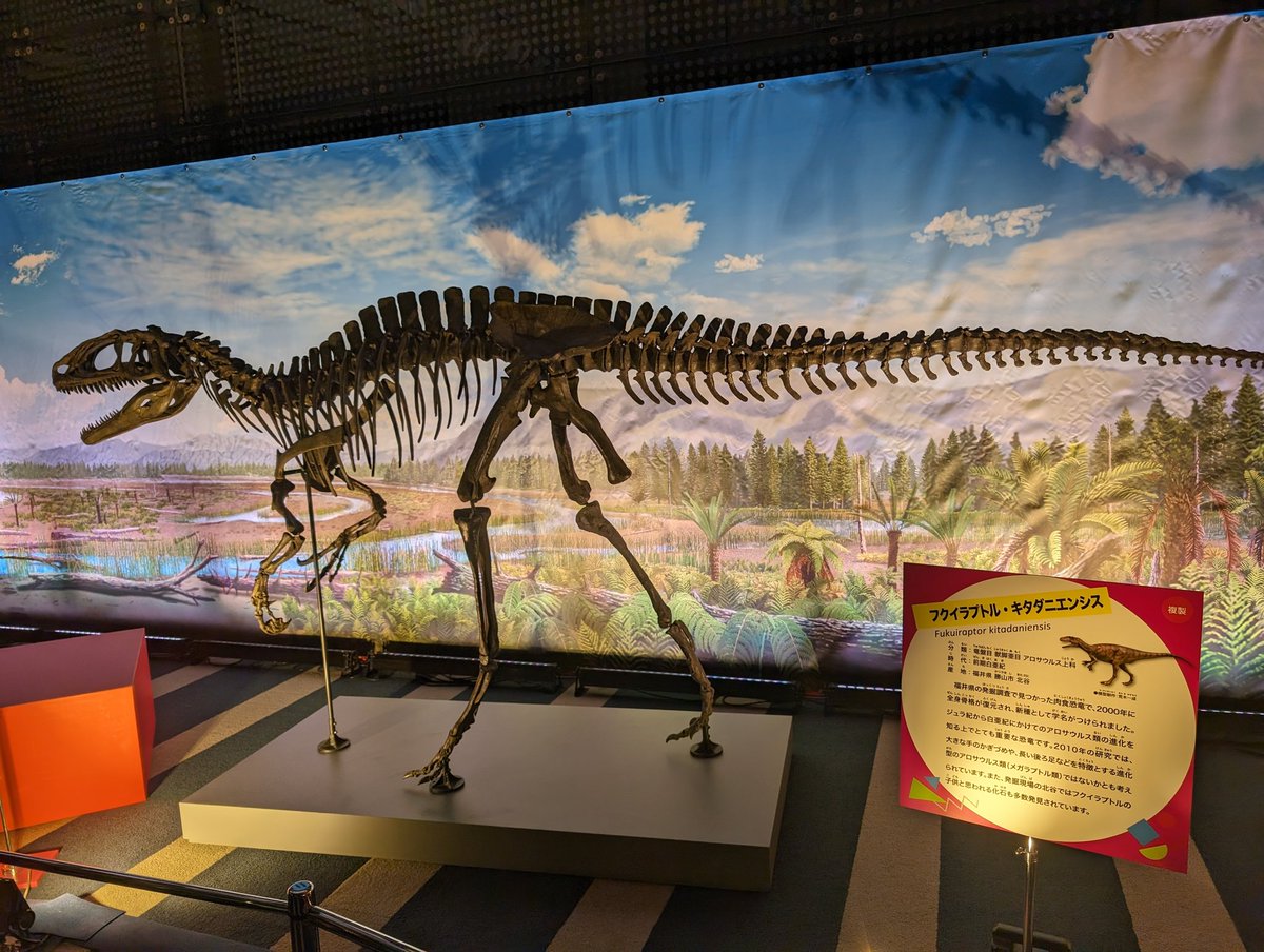 オダイバ恐竜博覧会、ジュラシックパークや恐竜系戦隊を見てたのもあって面白く見れた。化石にはロマンが詰まっている。