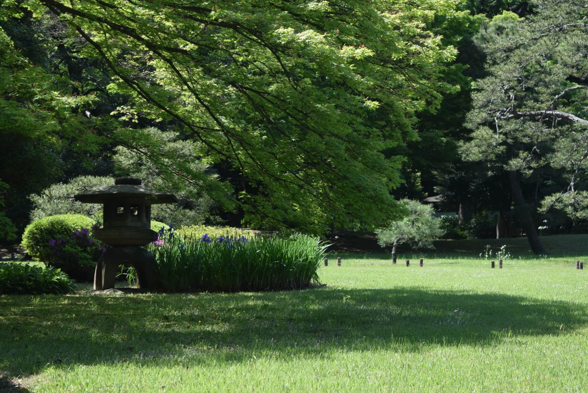 RikugienGarden tweet picture