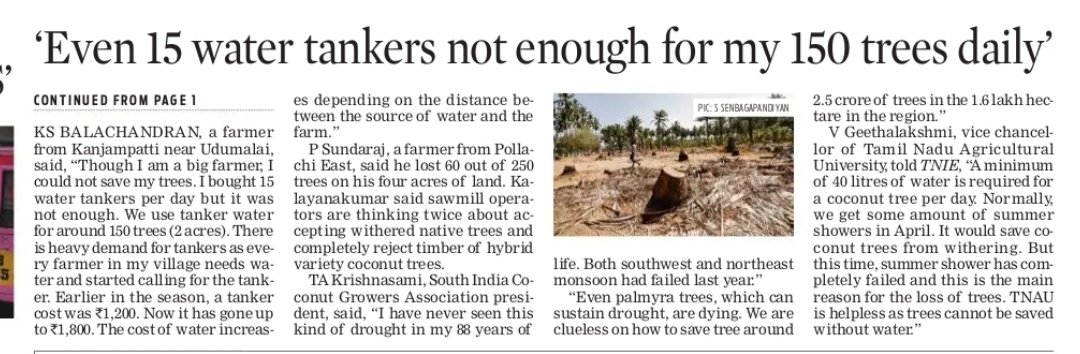 Thousands of coconut farmers in Pollachi, Anaimalai and Udumalai taluks in Coimbatore and Tiruppur districts have been felling the entire plantations they had nurtured lovingly for years as they could not stand the pain of seeing their trees wither due to lack of water @xpresstn